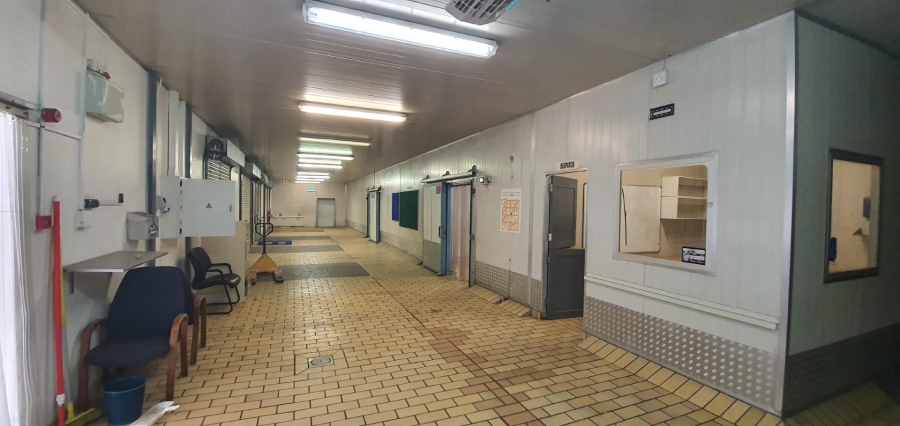 Commercial Property for Sale in Airport Industria Western Cape